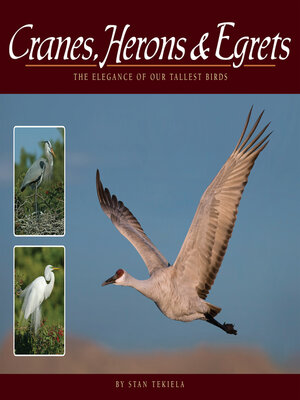 cover image of Cranes, Herons & Egrets